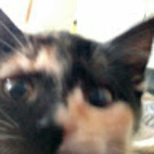 Meet your Posher, Courtney